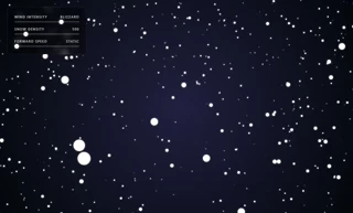 Cindy Snow experiment